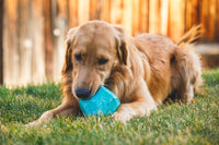 Ruffwear Gnawt-a-Rock